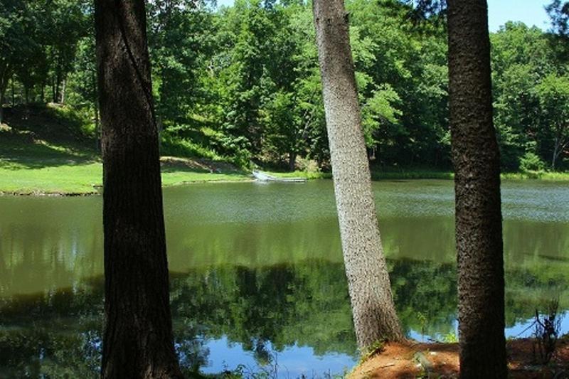 Вілла Twin Lakes - Hurley Номер фото